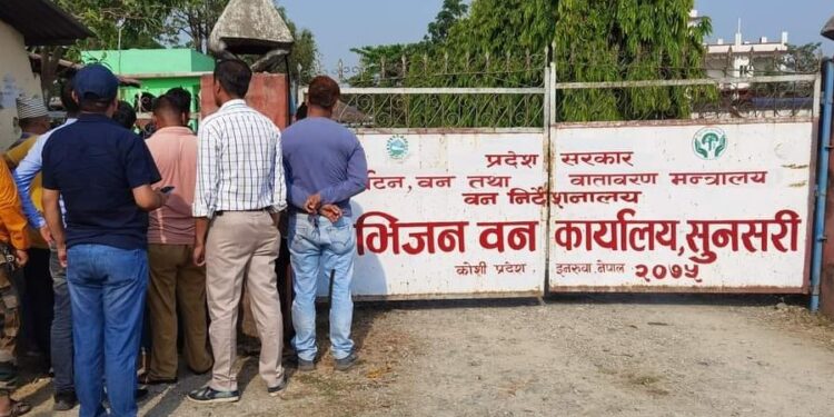 चौतर्फी दबाब पछि छाडिए इटहरी उपमहानगरको ट्रिपर र सवारी चालक