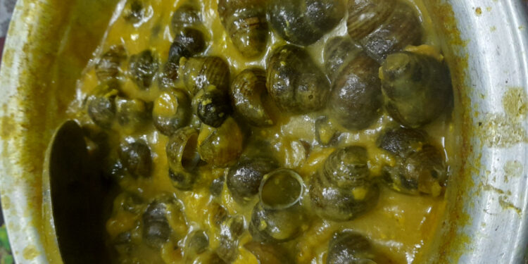 घोंघीलाई यसरी बनाएर खाना सकिन्छ