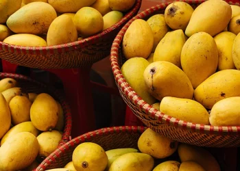 यी हुन आँप खानुको फाईदा