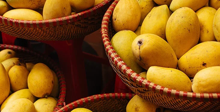 यी हुन आँप खानुको फाईदा