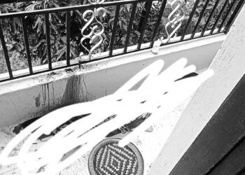 इटहरीमा खुकुरीले पटक–पटक प्रहार गरी महिलाको बीभत्स हत्या