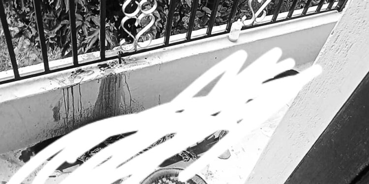 इटहरीमा खुकुरीले पटक–पटक प्रहार गरी महिलाको बीभत्स हत्या