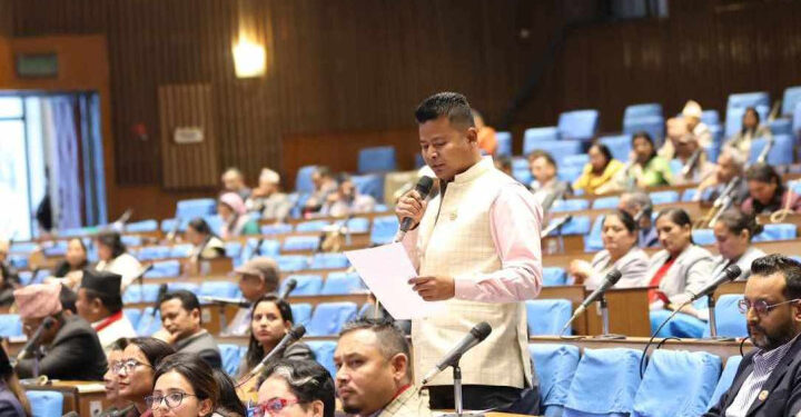 तरहरा–सेउती खण्ड चाँडो बनाउन सांसद चौधरीले गराए ध्यानाकर्षण