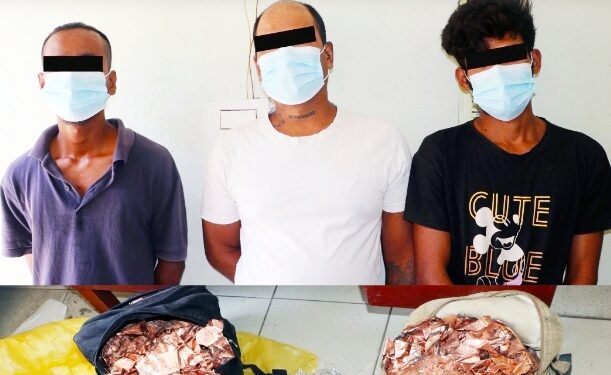 हाईड्रोपावरको स्टोरमा राखिएका तामाको तार र जेनेरेटरको पार्टपुर्जा चोरी गरेको आरोपमा पोखराबाट तीन जना पक्राउहाईड्रोपावरको स्टोरमा राखिएका तामाको तार र जेनेरेटरको चोरी गरेको आरोपमा पोखराबाट तीन जना पक्राउपोखरा । हाईड्रोपावरको स्टोरमा राखिएका तामाको तार र जेनेरेटरको पार्टपुर्जा चोरी गरेको आरोपमा प्रहरीले पोखराबाट तीन जनालाई पक्राउ गरेको छ ।