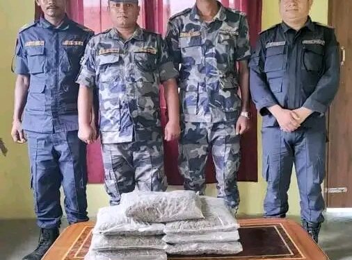 देवानगञ्जकाे पालटाेल सीमा इलाकाबाट ७ किलाे गाँजा बरामद भएकाे छ ।सशस्त्र प्रहरी र नेपाल प्रहरीको संयुक्त टाेलीले गाँजा बरामद गरेकाे हाे ।सस्त्र प्रहरी र नेपाल प्रहरीको संयुक्त टाले अनुसार । ७ किला गाँजा बरामद घरेको जानायेको छ