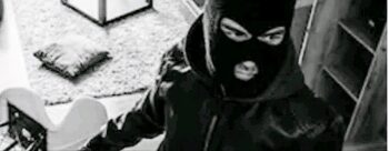 रङ्गेली बसपार्क वरिपरिको बस्तीमा चोरको आतंक, स्थानीय महिला त्रसित !